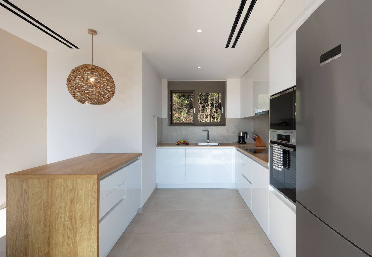 House in Sivota - VILLA EPTANISA