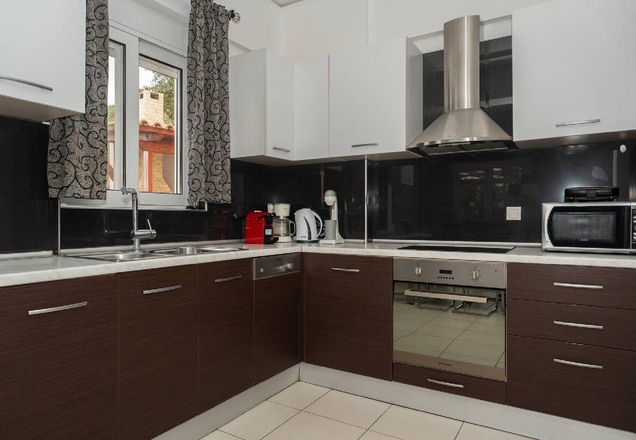 Villa in Vasiliki - DREAM VILLA