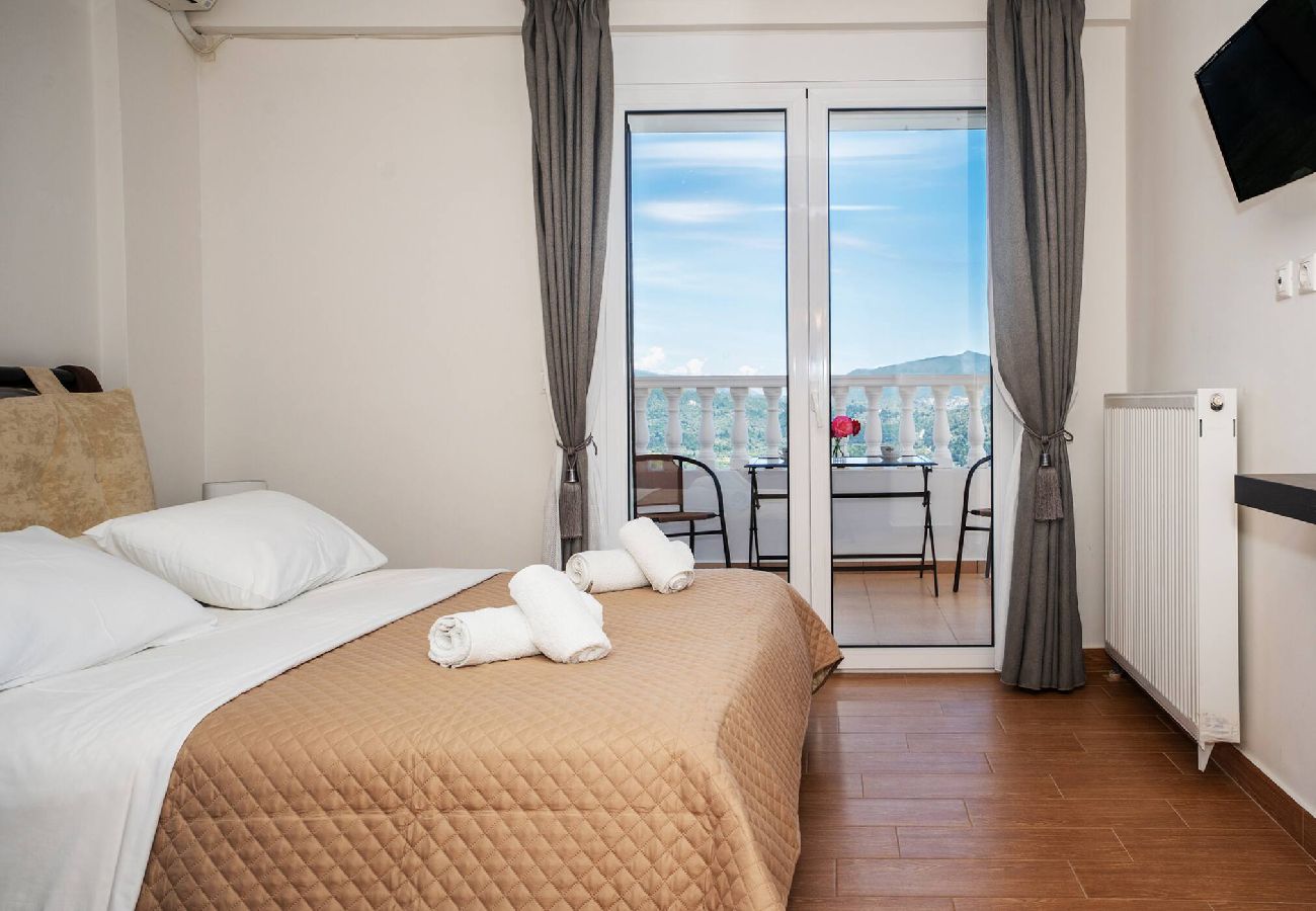 Villa in Vasiliki - DREAM VILLA