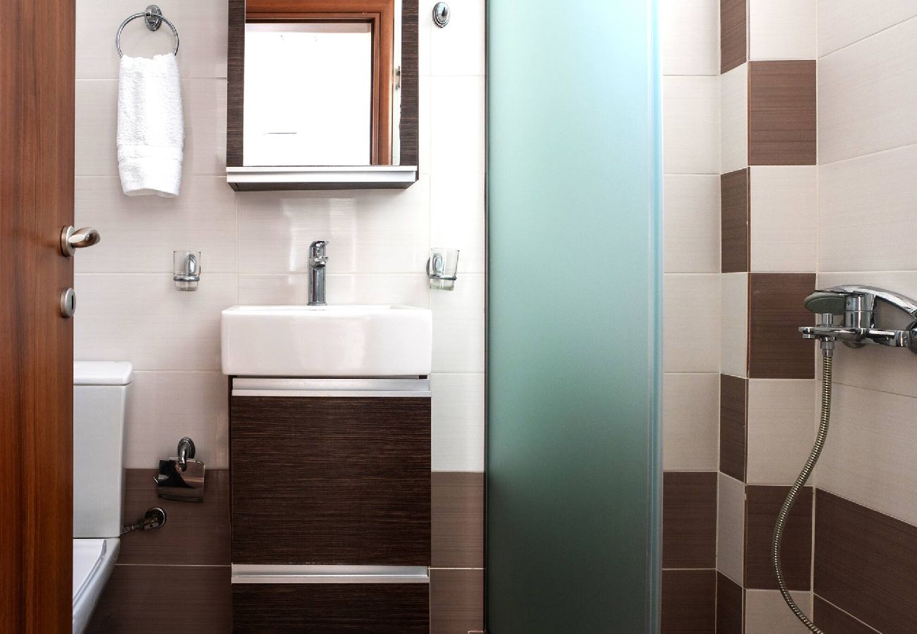 Villa in Vasiliki - DREAM VILLA