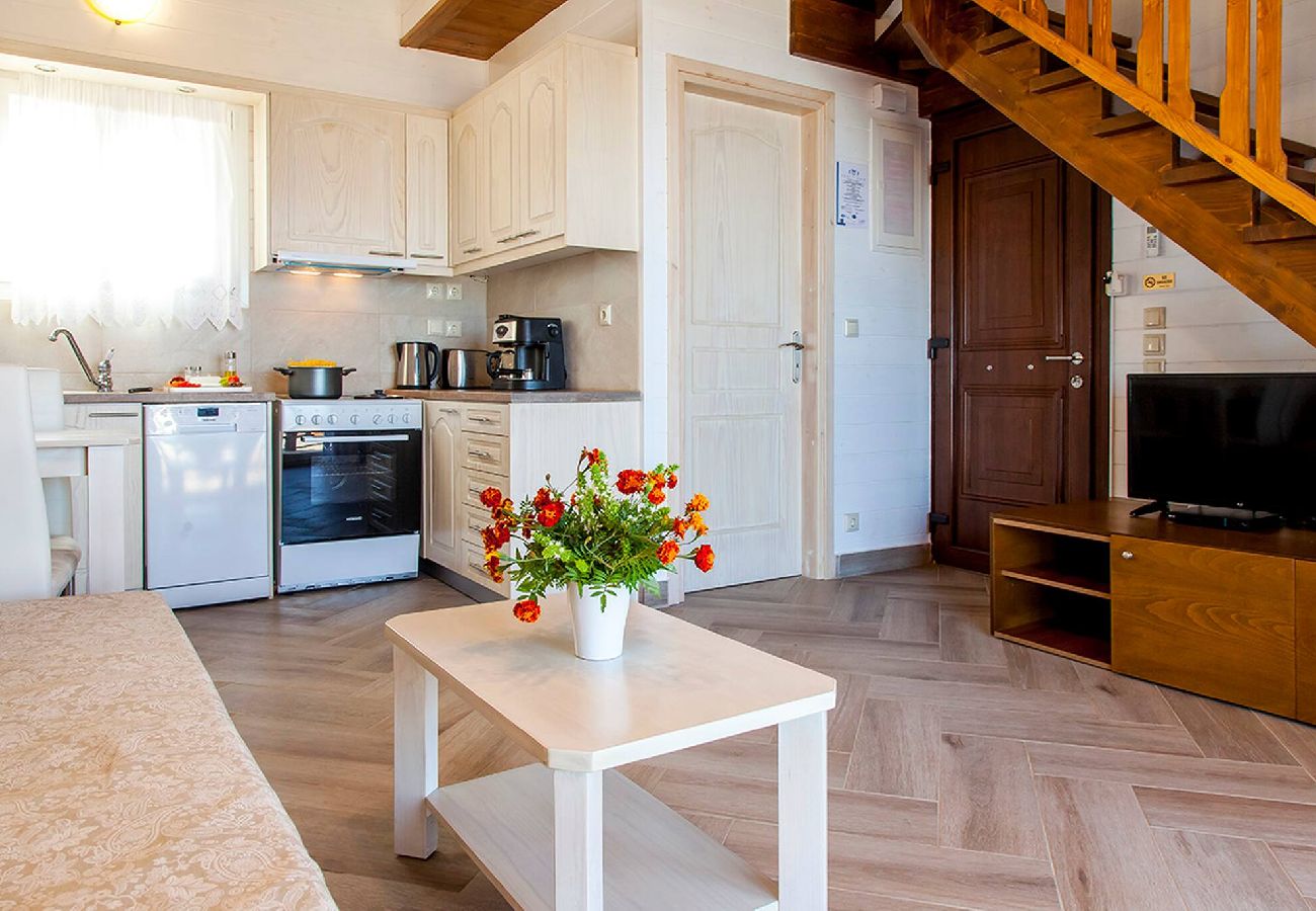 House in Vasiliki - VISSALA5 ALKANNA