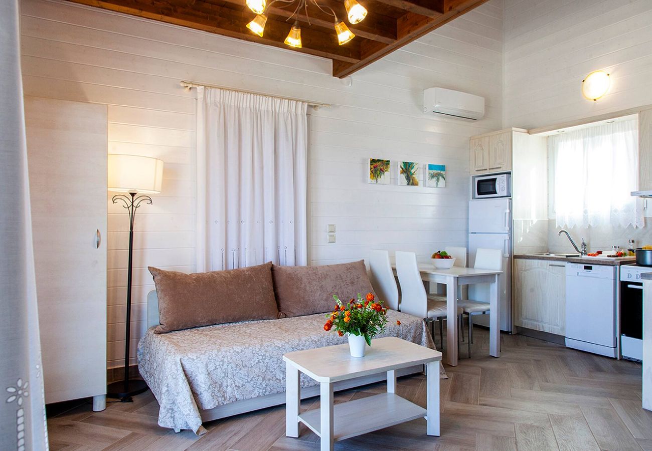 House in Vasiliki - VISSALA5 ALKANNA