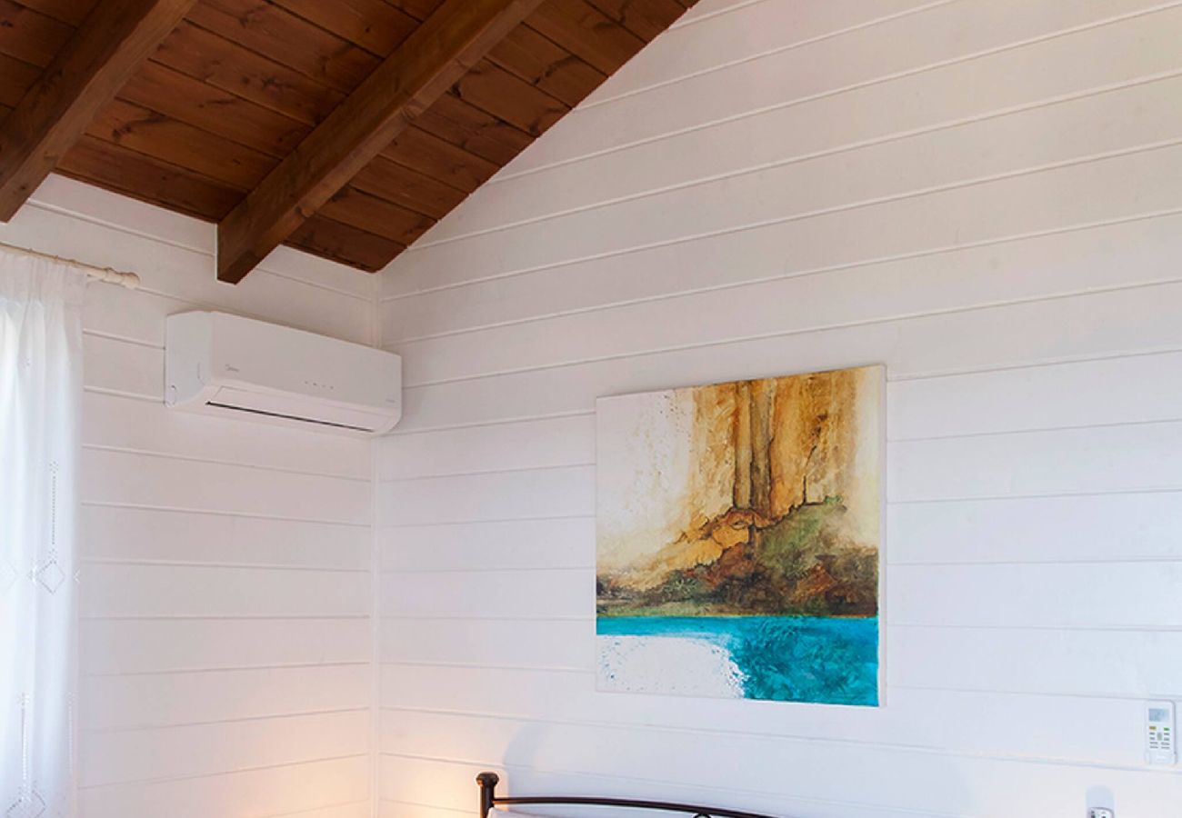 House in Vasiliki - VISSALA5 ALKANNA