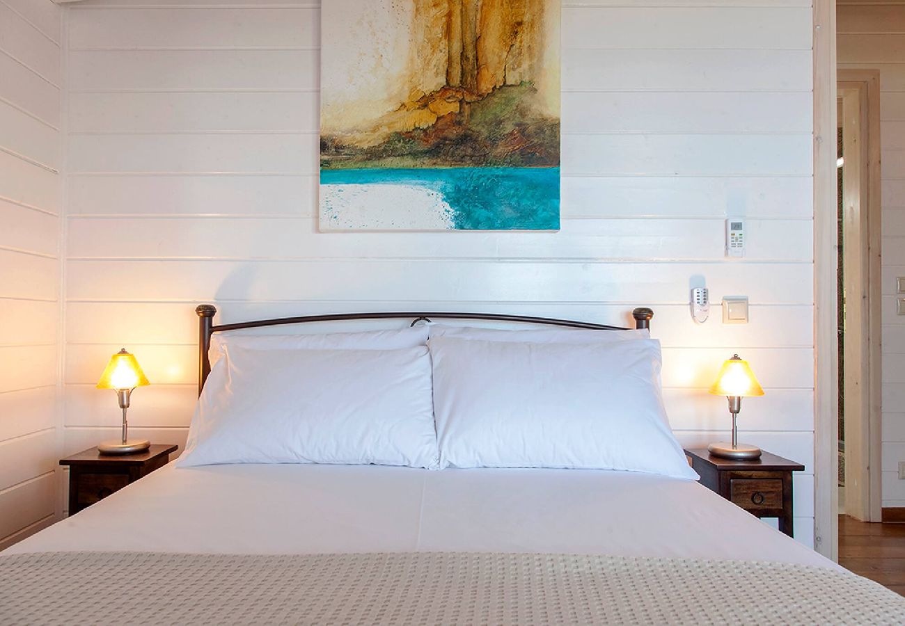 House in Vasiliki - VISSALA5 ALKANNA