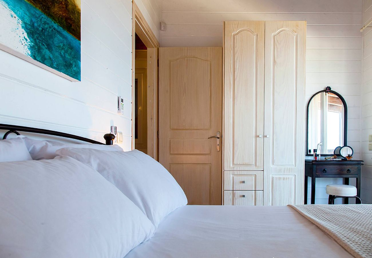 House in Vasiliki - VISSALA5 ALKANNA