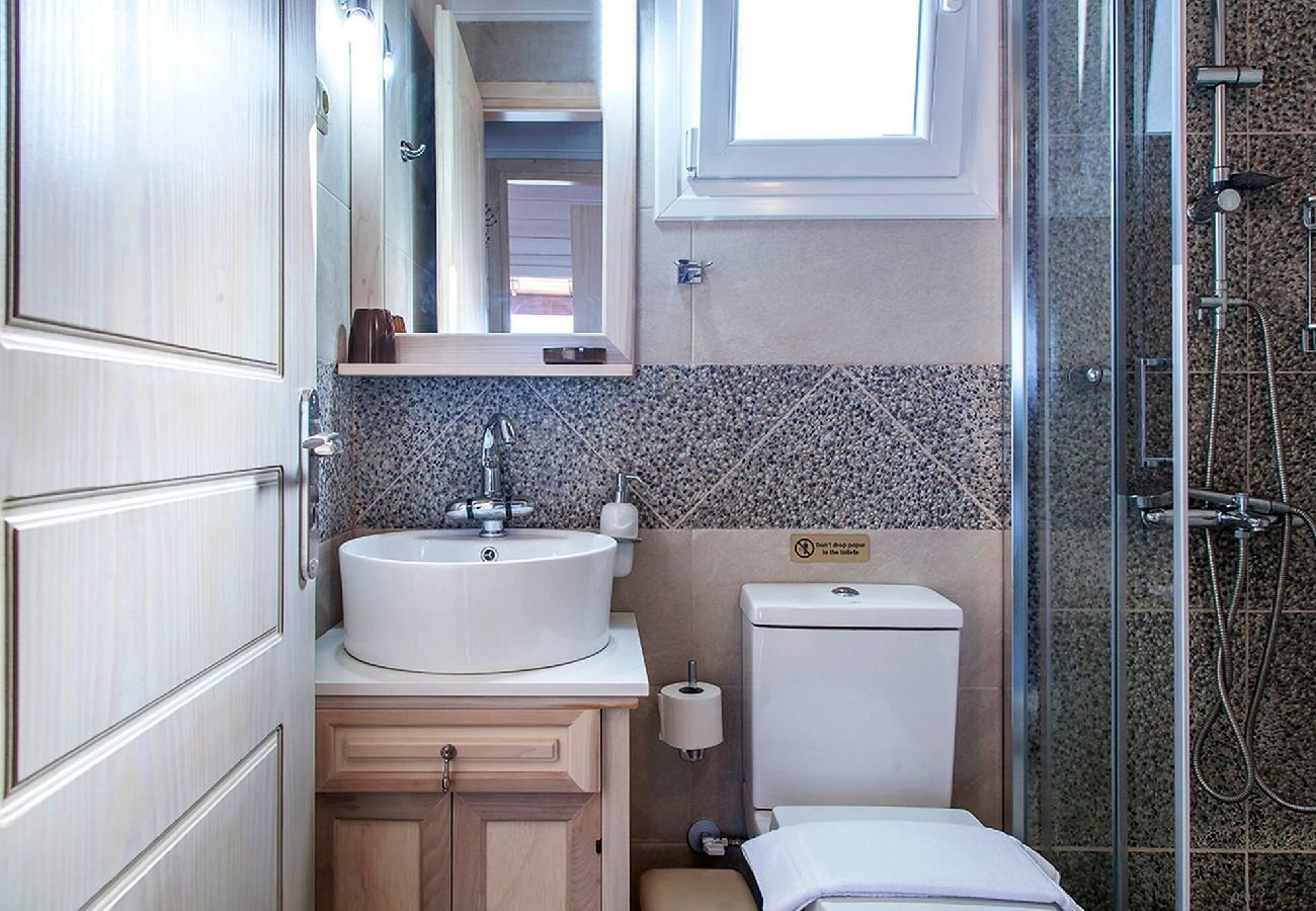 House in Vasiliki - VISSALA5 ALKANNA