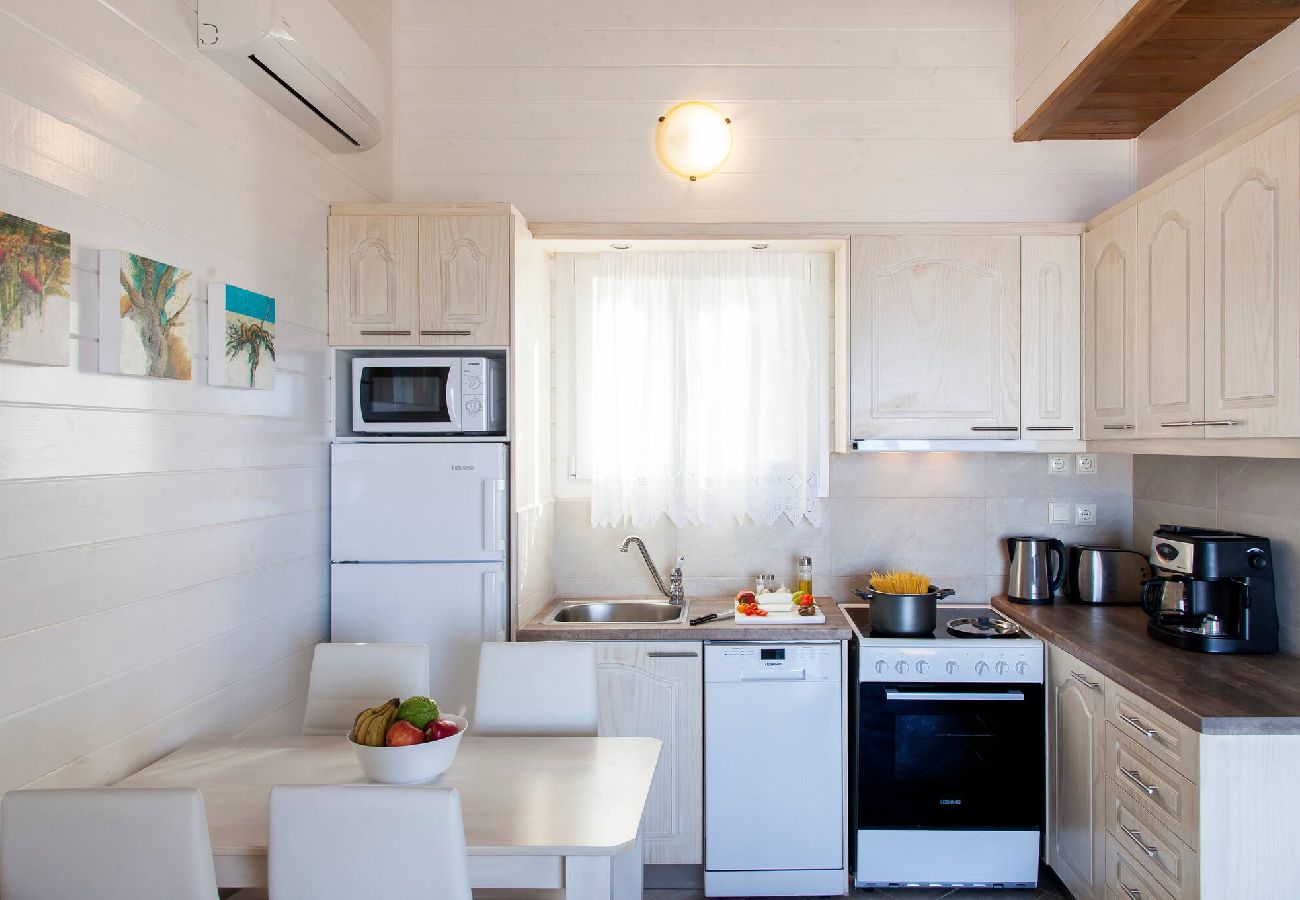 Villa in Vasiliki - VISSALA4 MINUARTIA