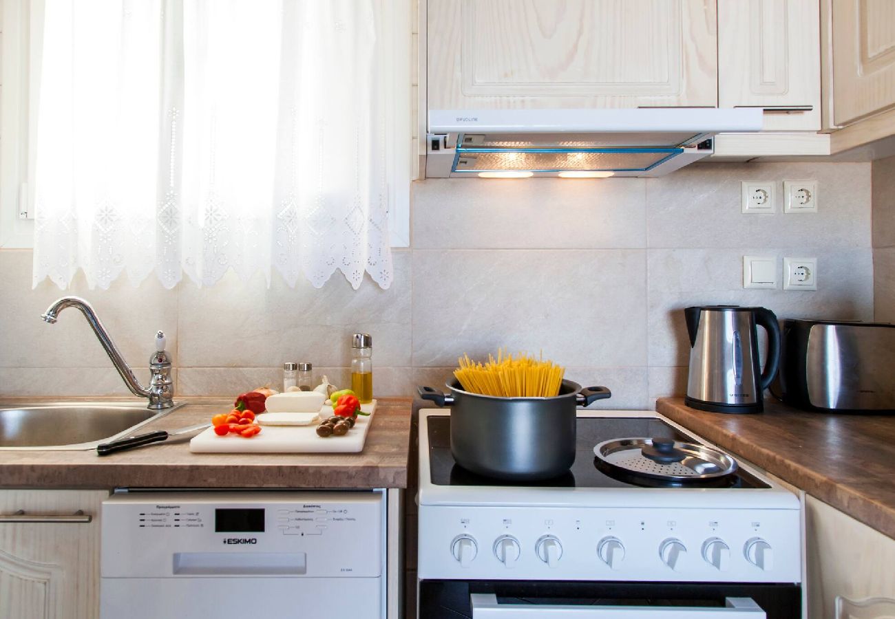 Villa in Vasiliki - VISSALA4 MINUARTIA