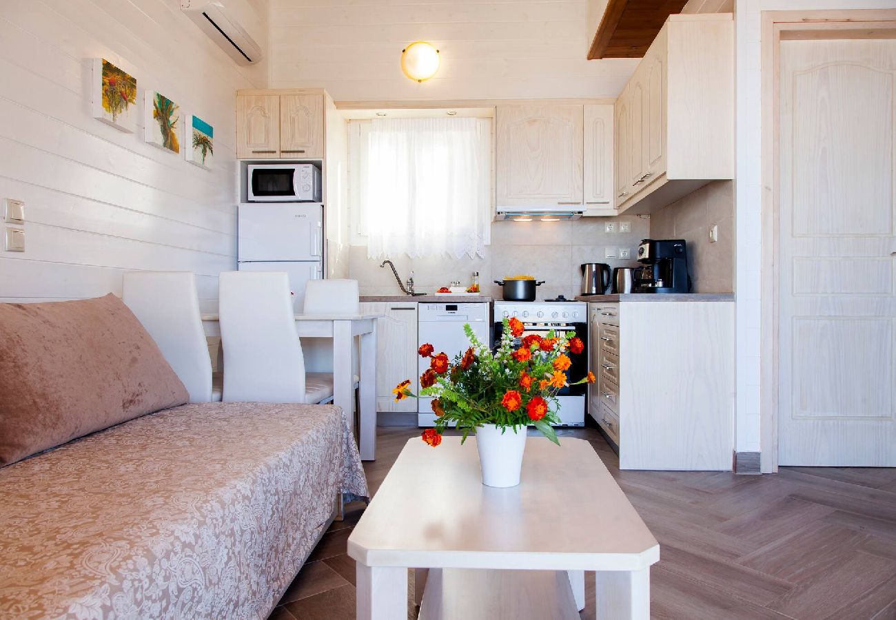 Villa in Vasiliki - VISSALA4 MINUARTIA