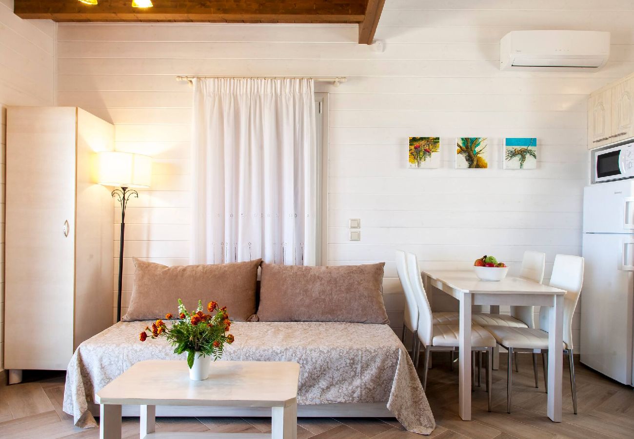 Villa in Vasiliki - VISSALA4 MINUARTIA