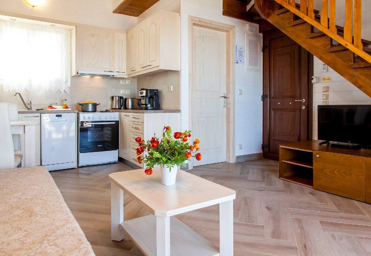 Villa in Vasiliki - VISSALA4 MINUARTIA