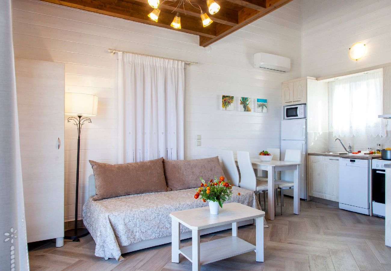 Villa in Vasiliki - VISSALA4 MINUARTIA