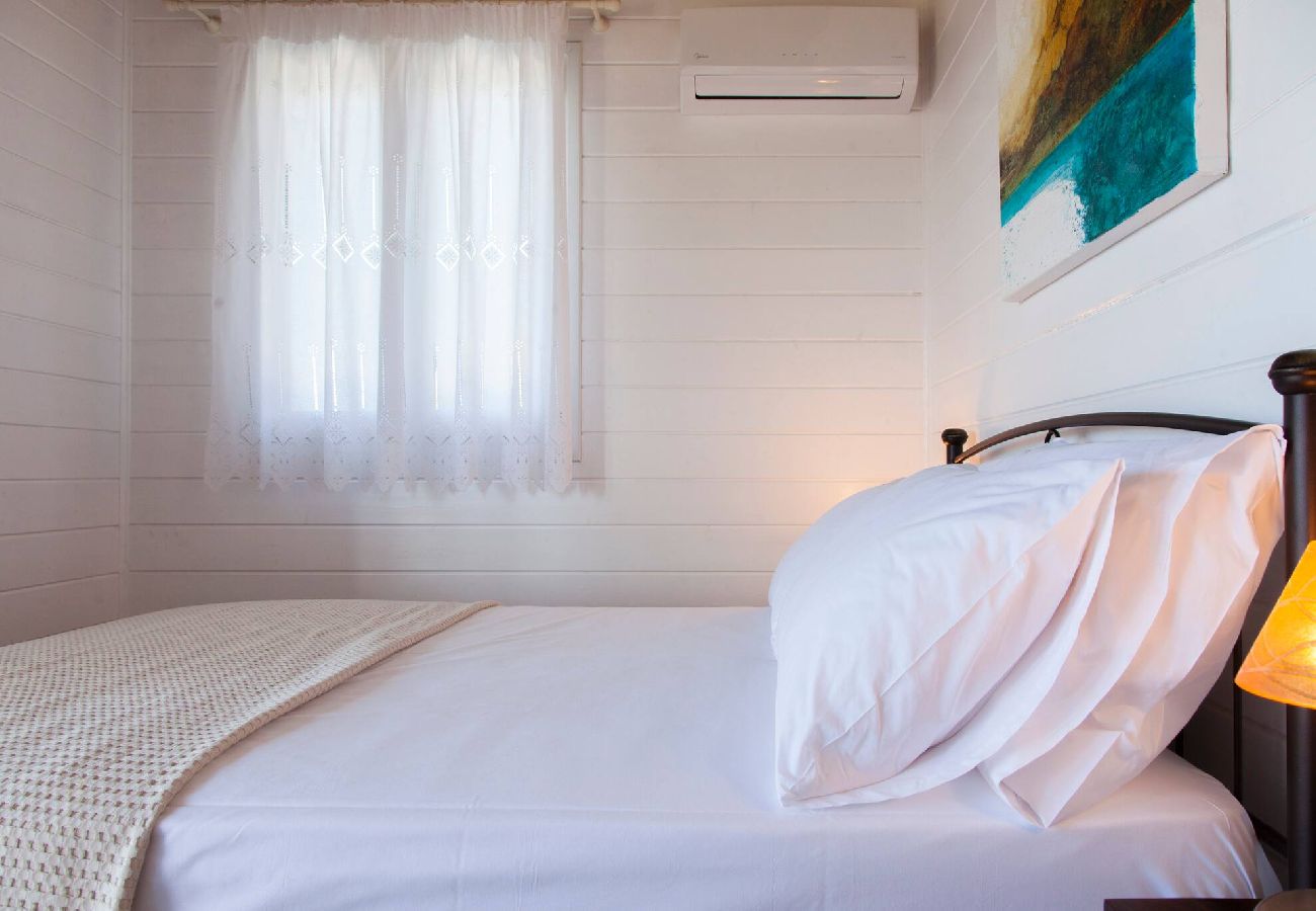 Villa in Vasiliki - VISSALA4 MINUARTIA