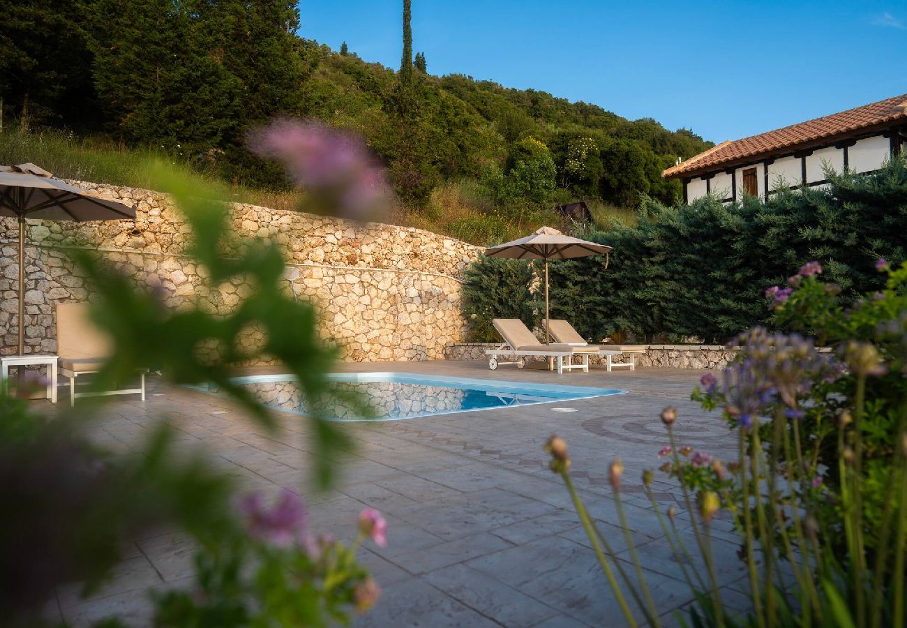 Villa in Vasiliki - VISSALA4 MINUARTIA