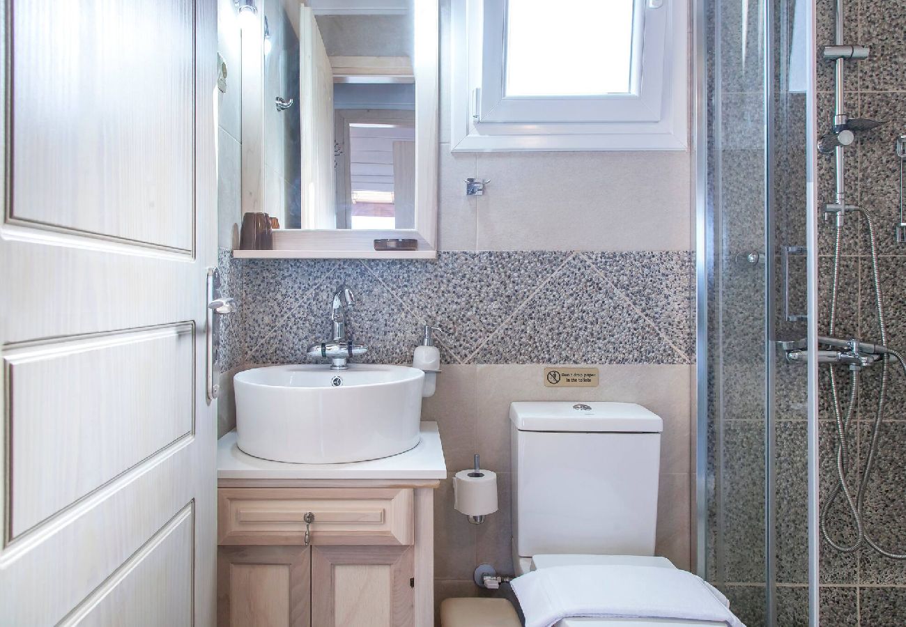 House in Vasiliki - VISSALA2 PAEONIA