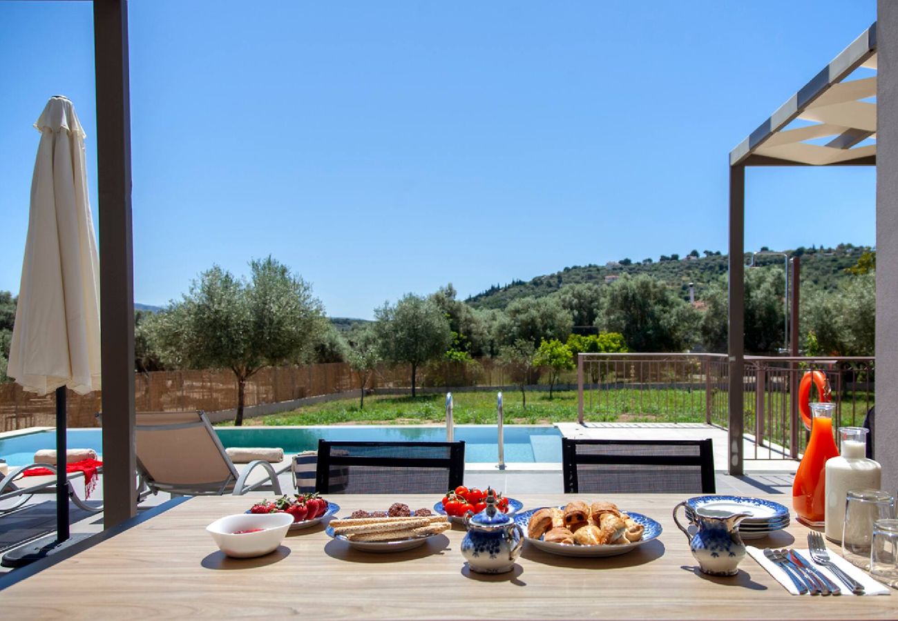 Villa in Lefkada - VILLA ALKISTIS