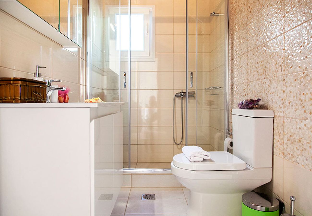 Villa in Lefkada - VILLA MANOS