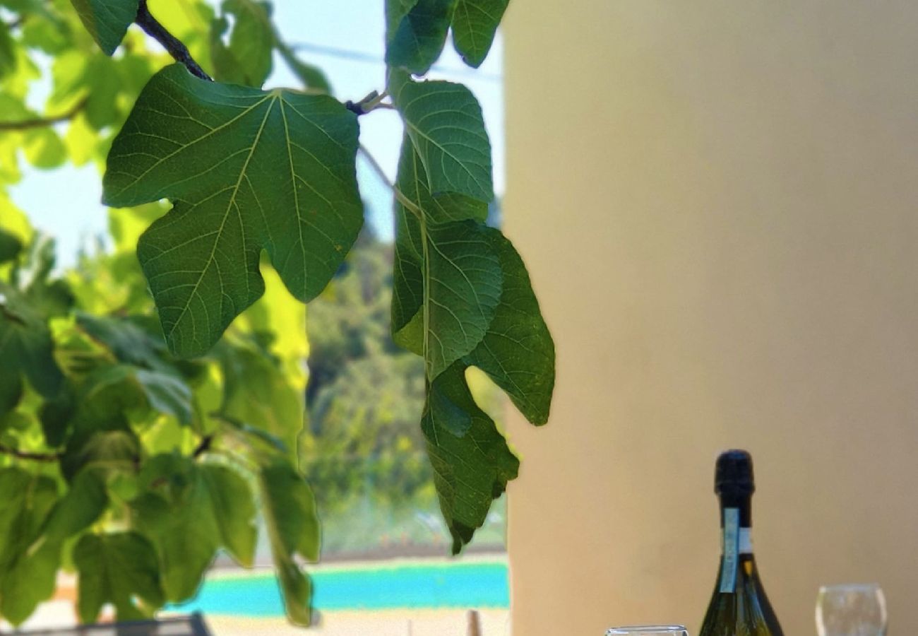 Villa in Lefkada - VILLA MANOS