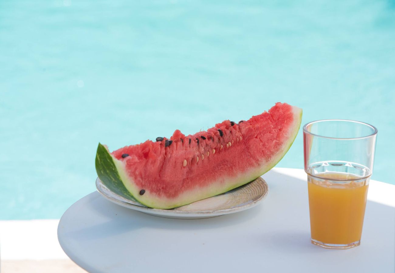 House in Vasiliki - VILLA OLIA