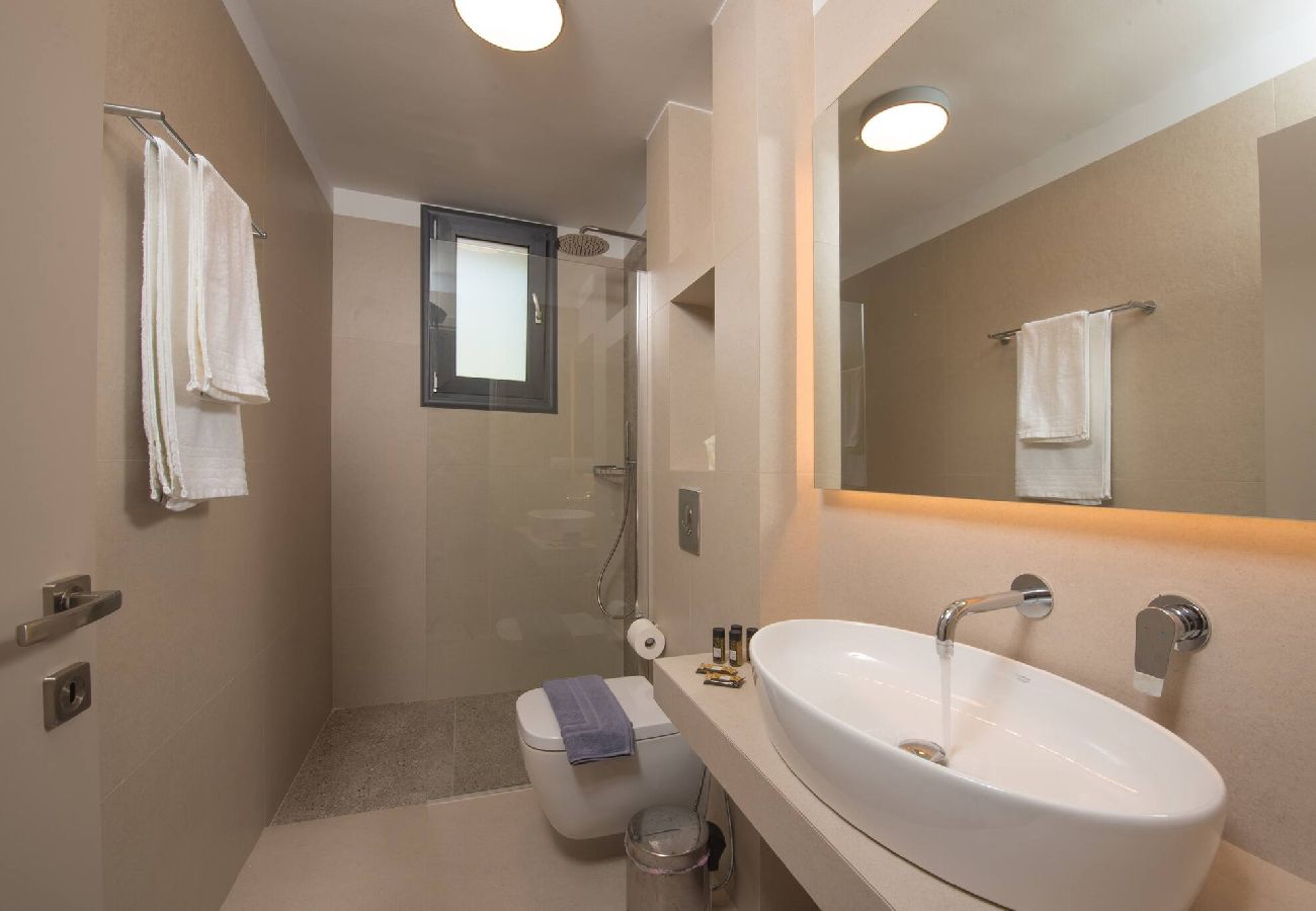 House in Vasiliki - VILLA OLIA