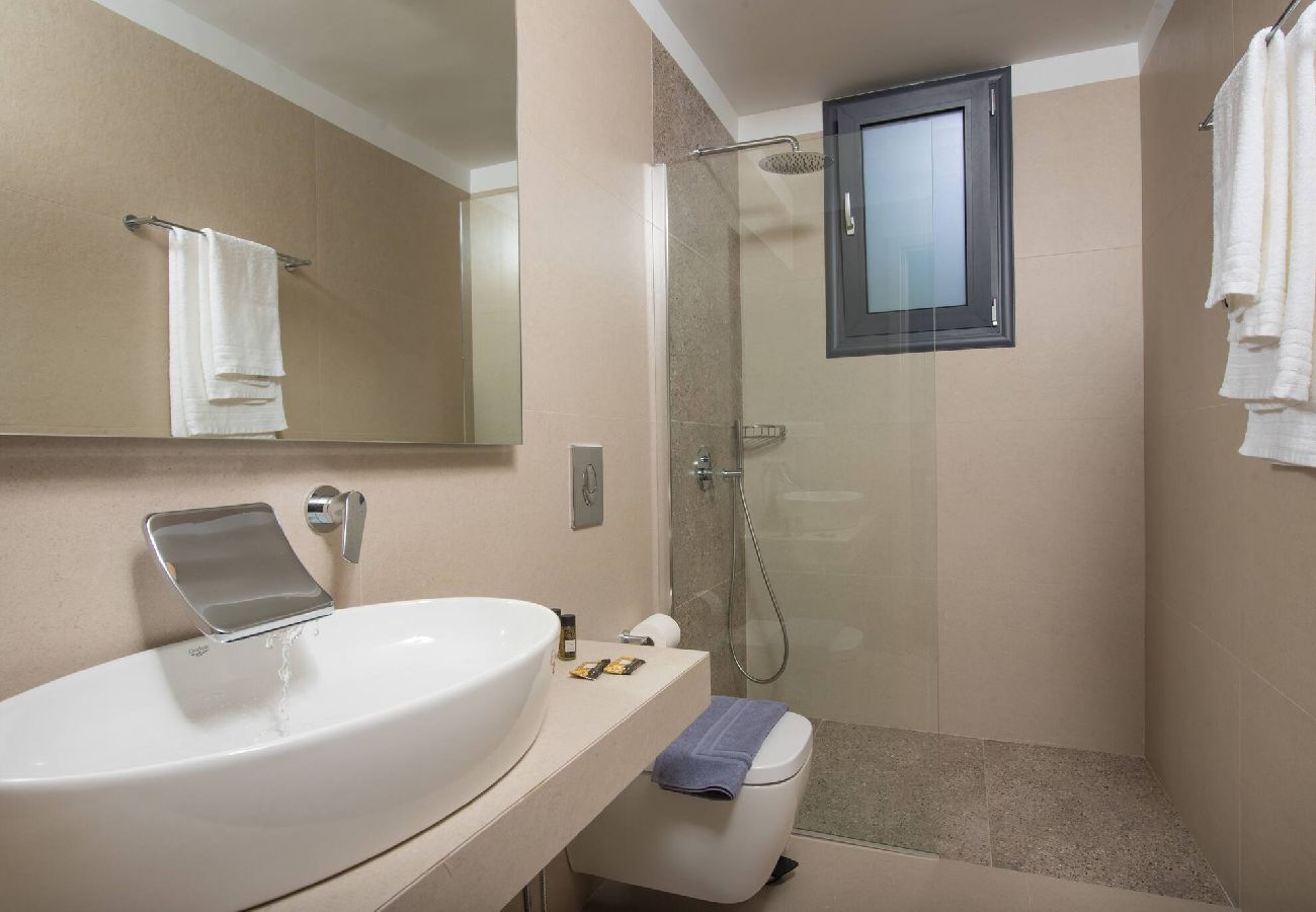 House in Vasiliki - VILLA OLIA