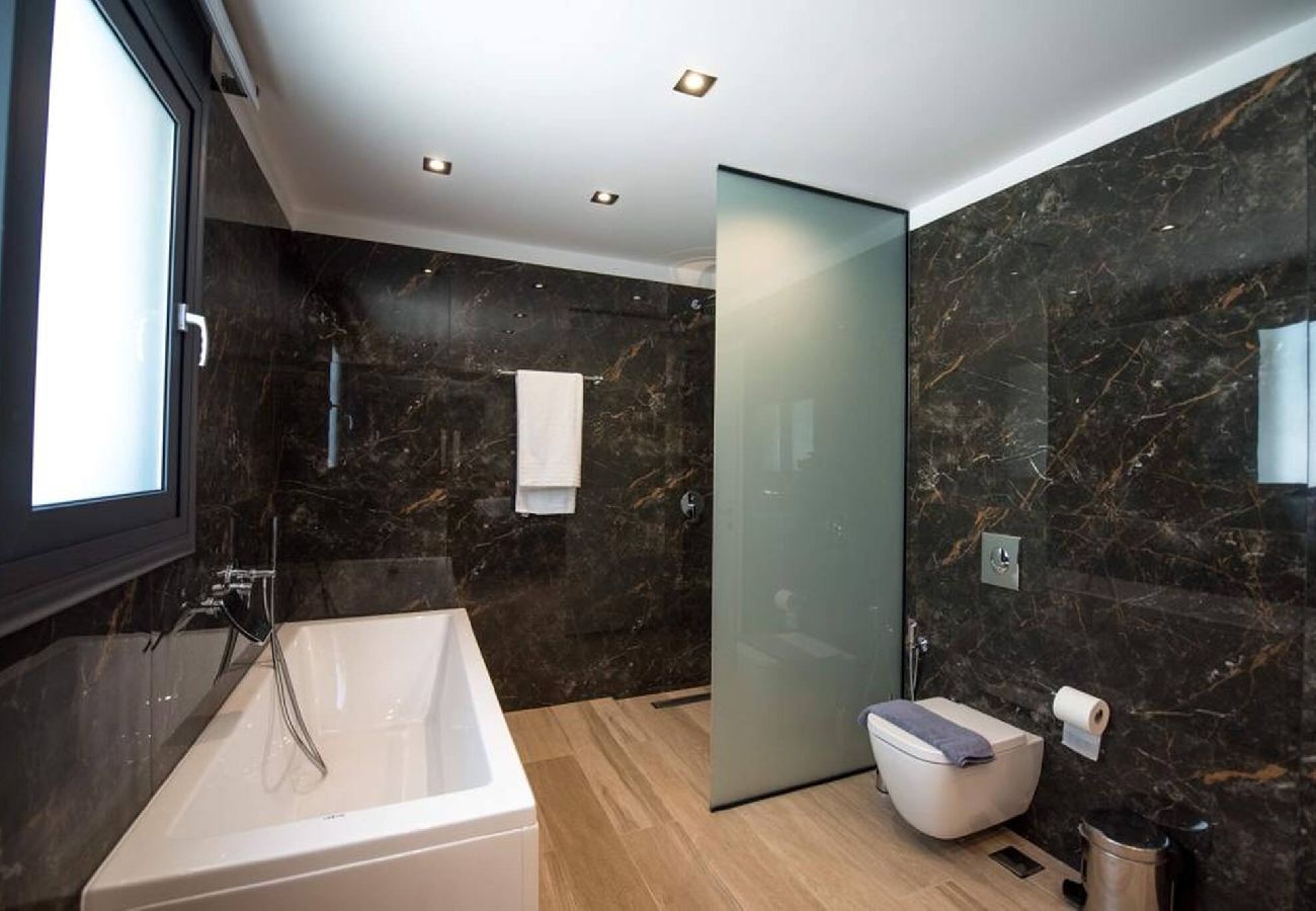 House in Vasiliki - VILLA OLIA