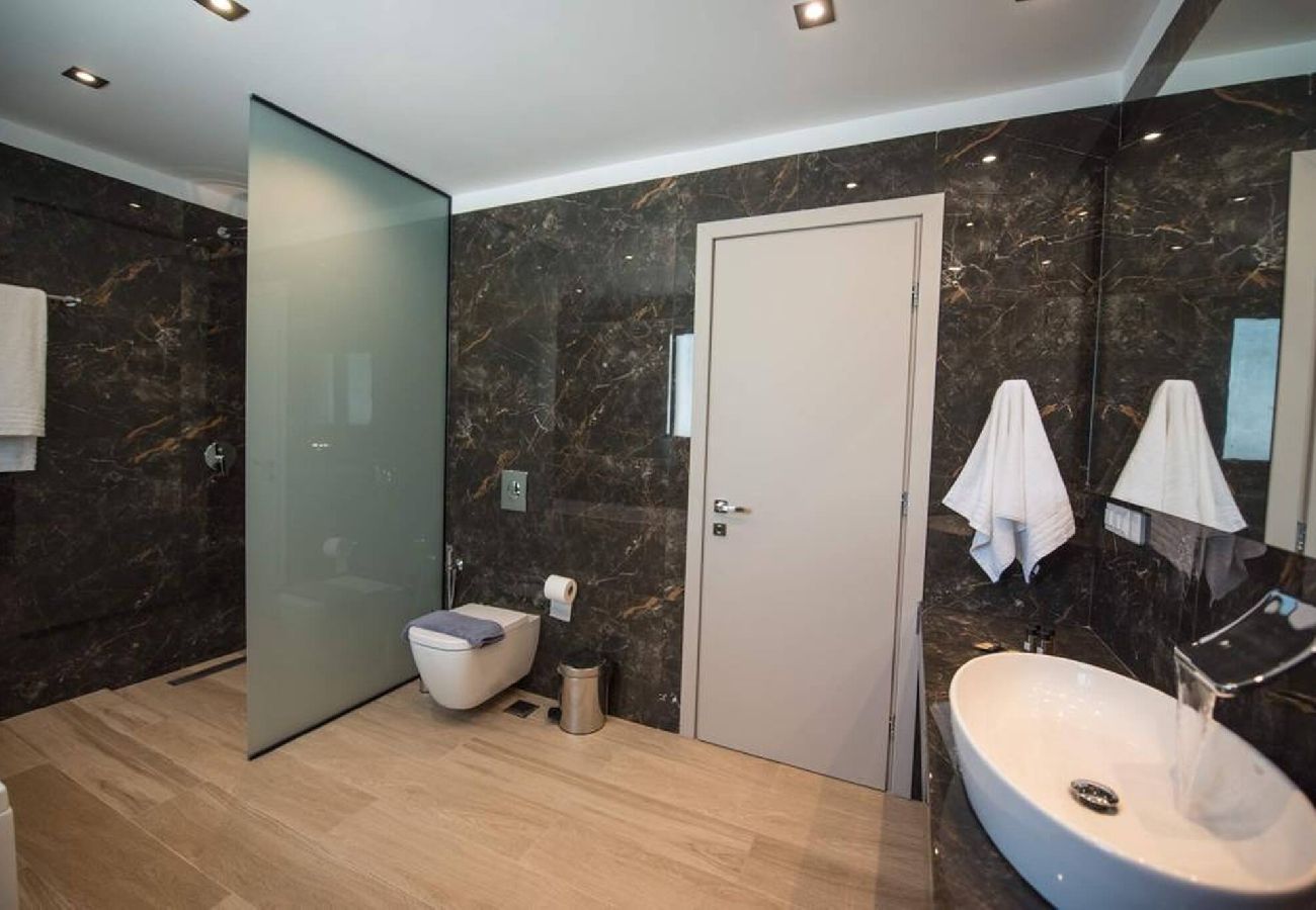 House in Vasiliki - VILLA OLIA