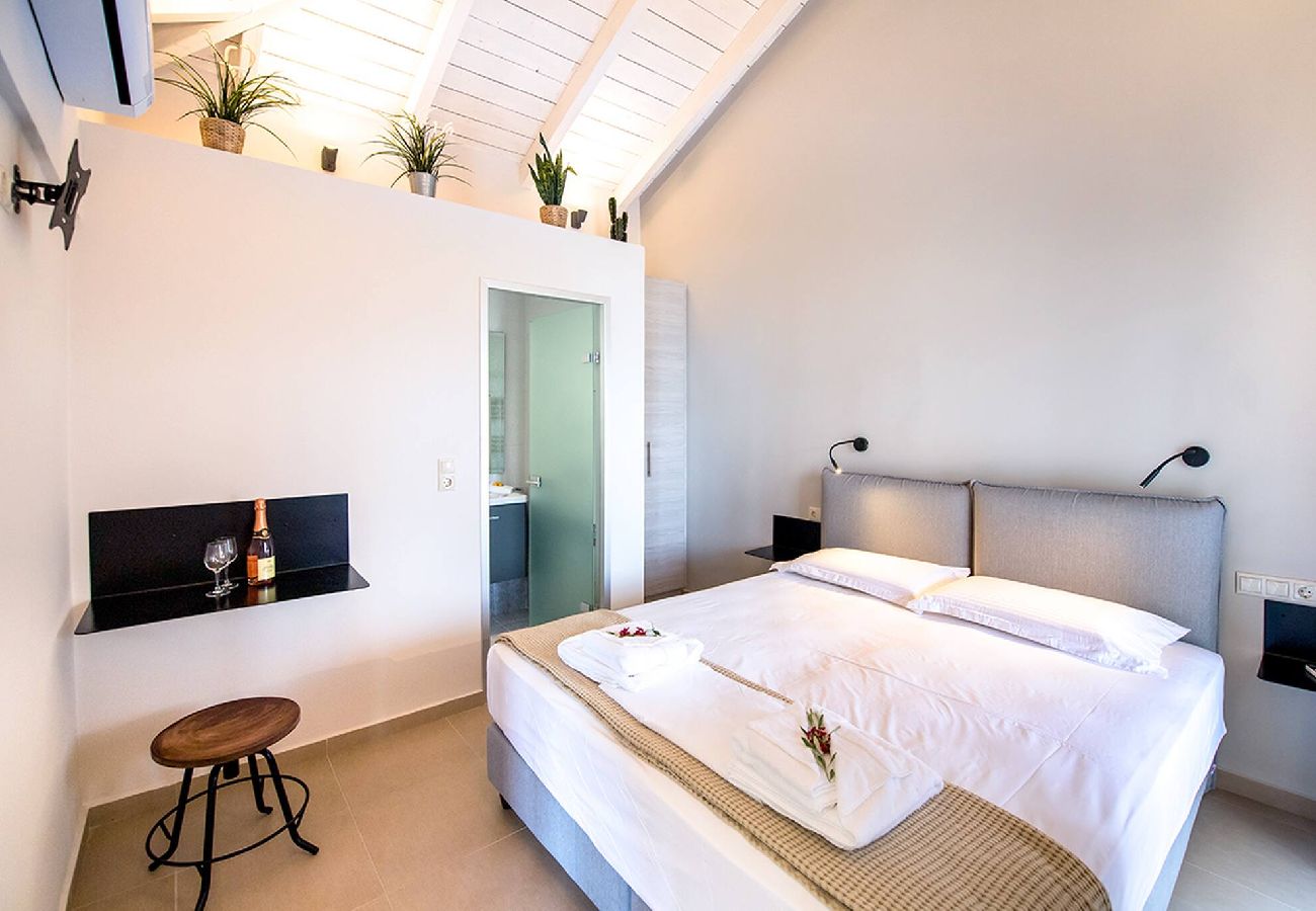 Villa in Vasiliki - DRAKATOS VILLA MARIA (2)