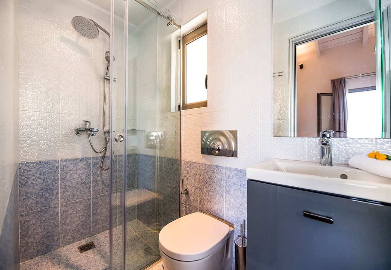 Villa in Vasiliki - DRAKATOS VILLA MARIA (2)