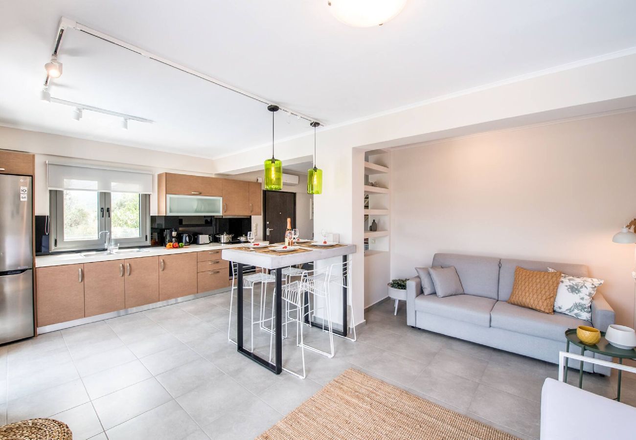 Villa in Vasiliki - DRAKATOS VILLA IRENE (1)