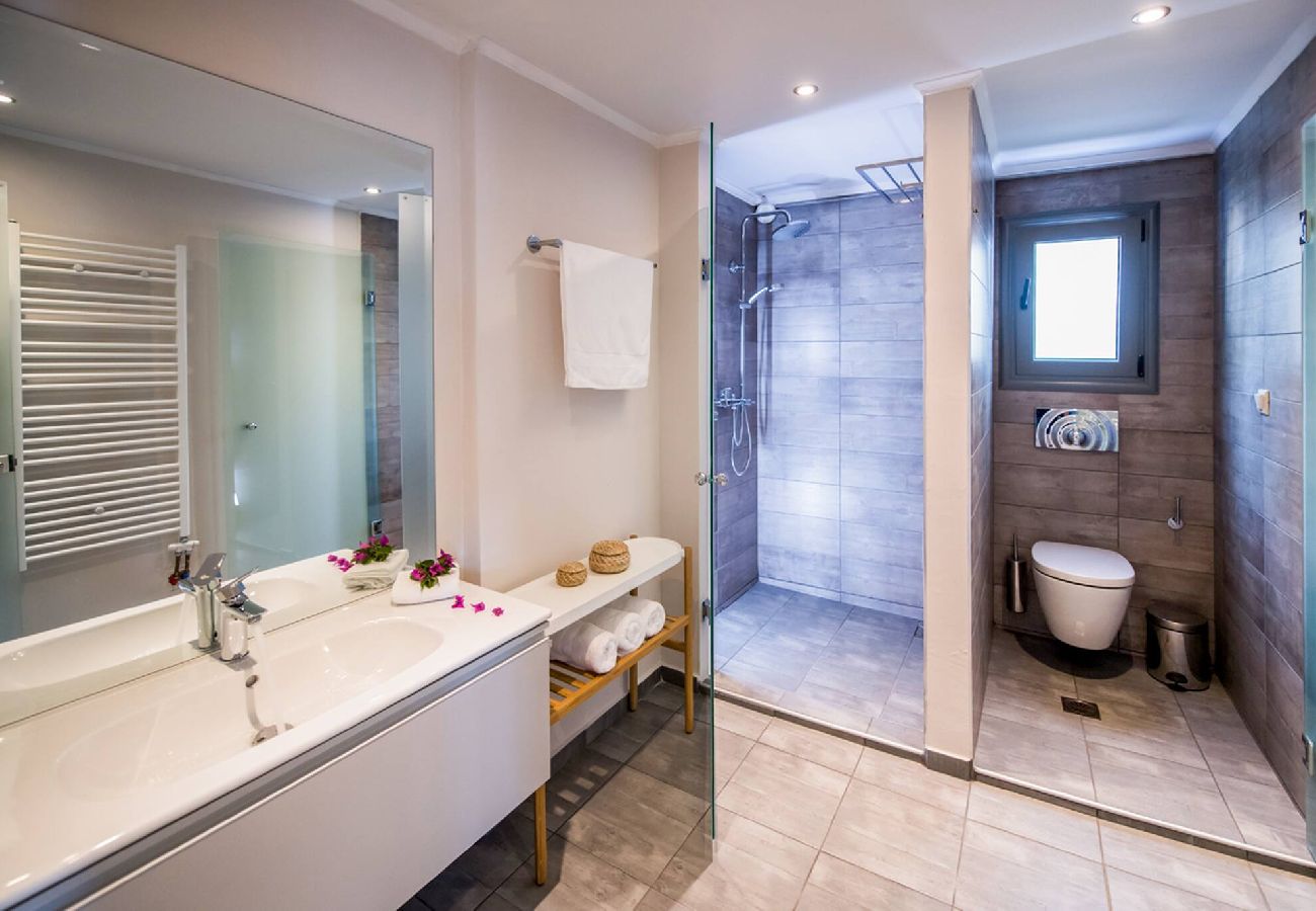 Villa in Vasiliki - DRAKATOS VILLA IRENE (1)