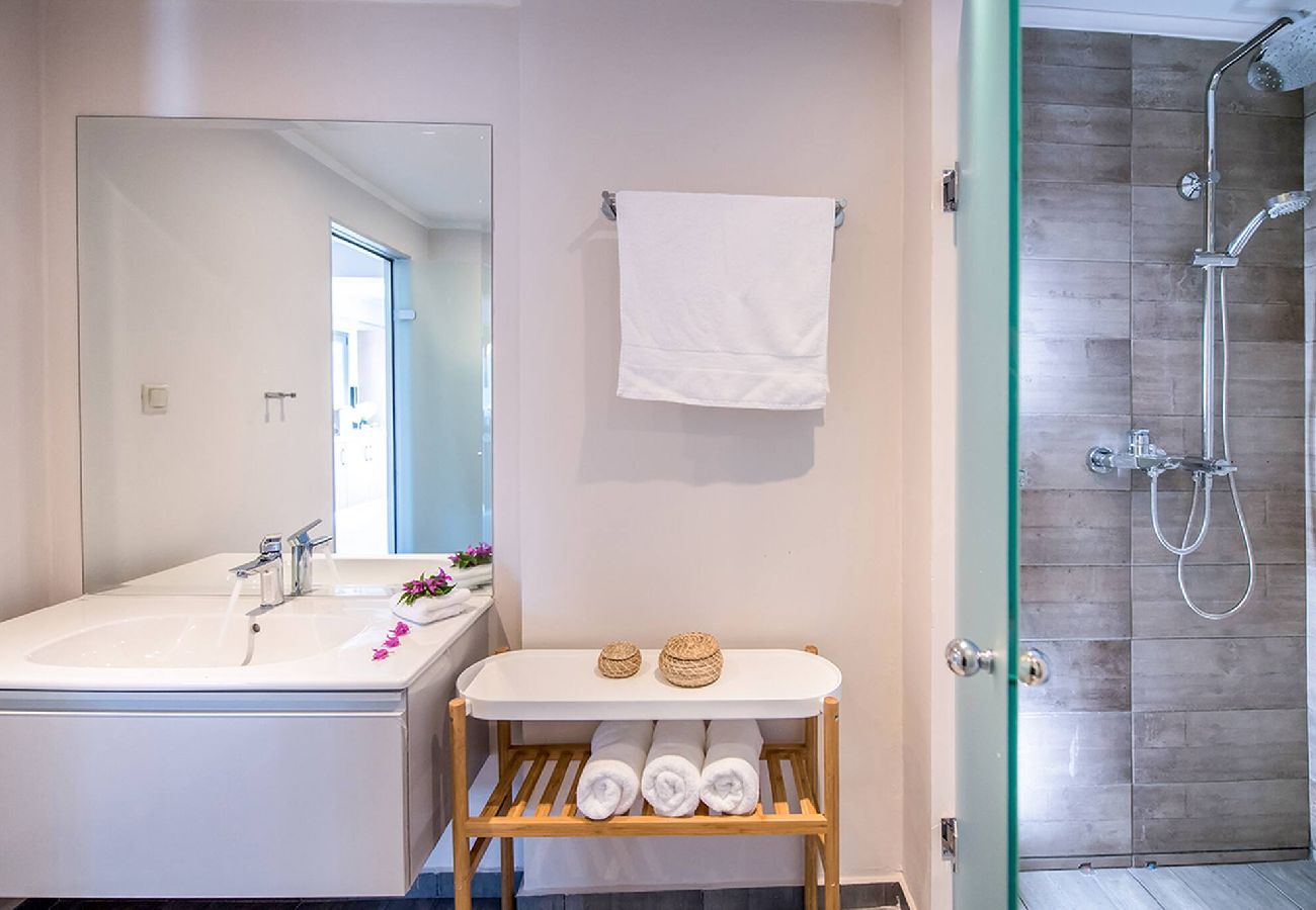 Villa in Vasiliki - DRAKATOS VILLA IRENE (1)