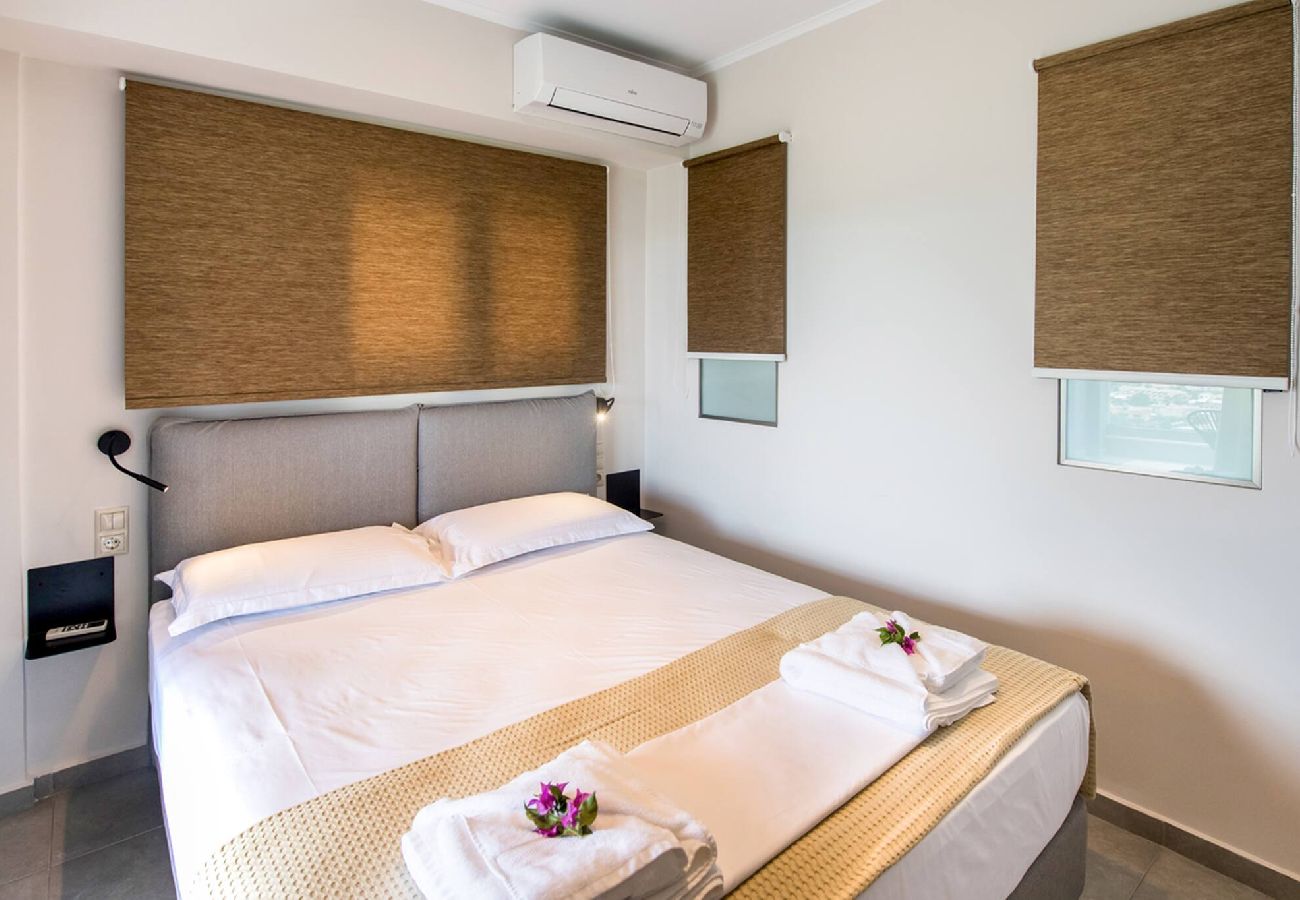 Villa in Vasiliki - DRAKATOS VILLA IRENE (1)