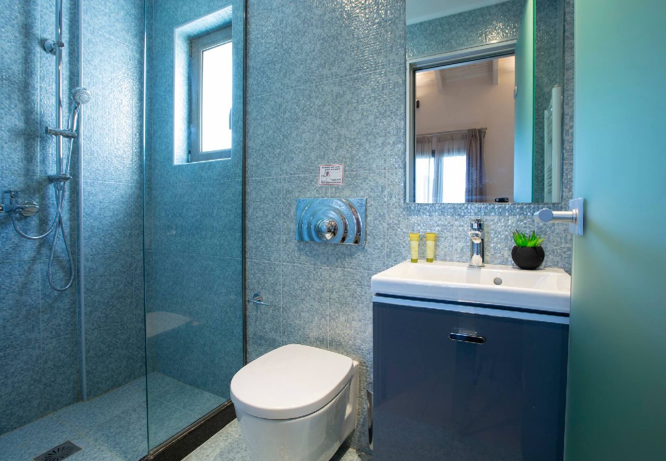 Villa in Vasiliki - ARIA 3 MARE