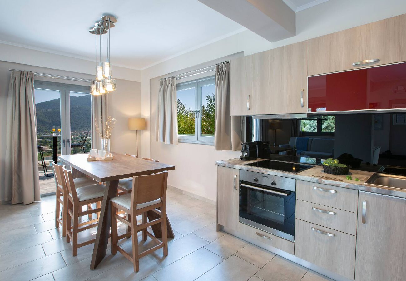 Villa in Vasiliki - ARIA 4 OSTRIA