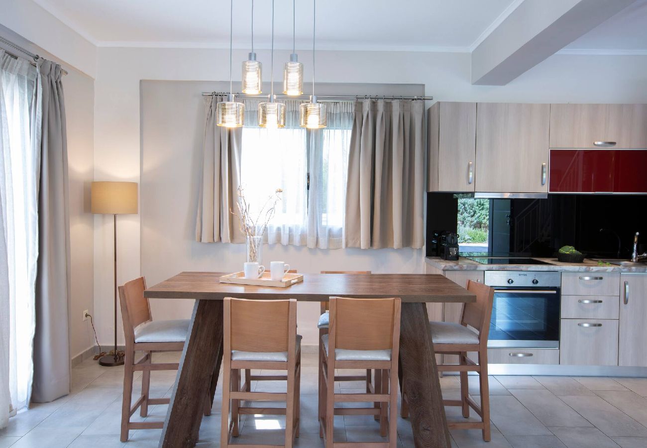 Villa in Vasiliki - ARIA 4 OSTRIA