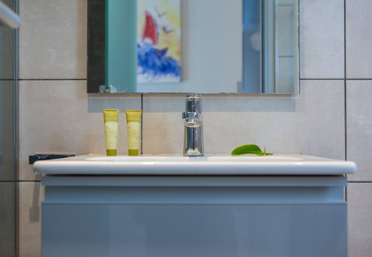 Villa in Vasiliki - ARIA 4 OSTRIA