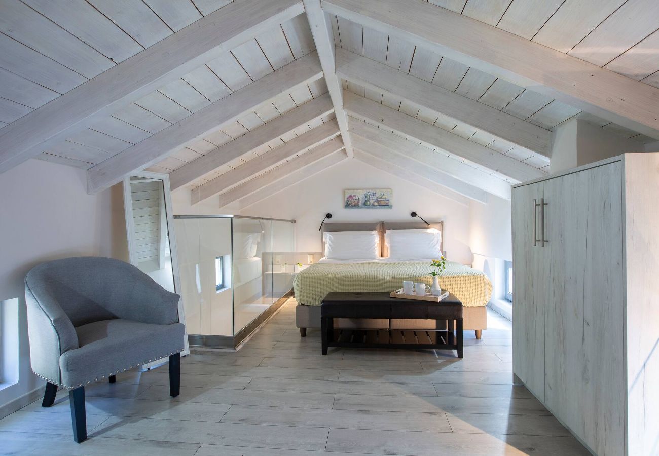 Villa in Vasiliki - ARIA 4 OSTRIA