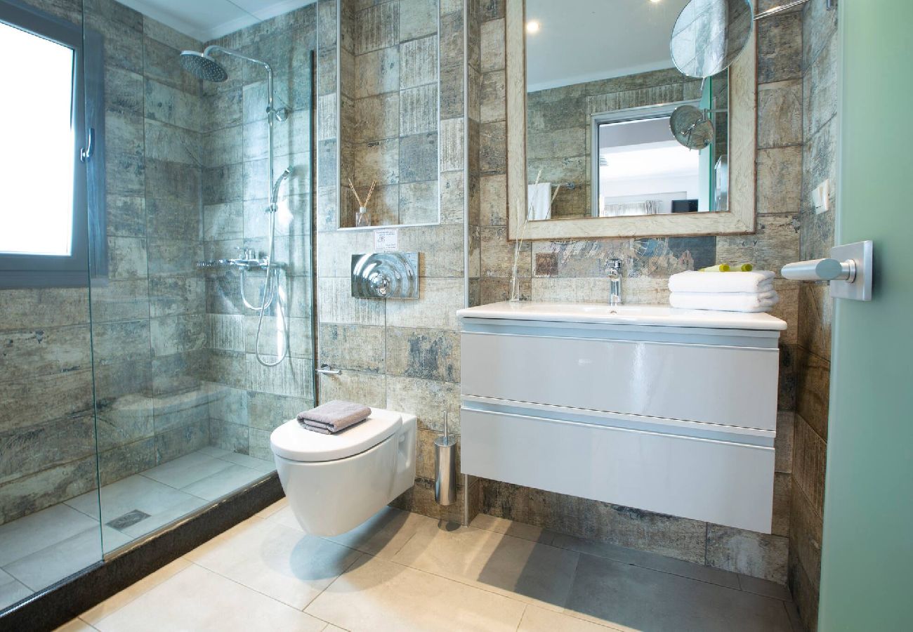 Villa in Vasiliki - ARIA 4 OSTRIA