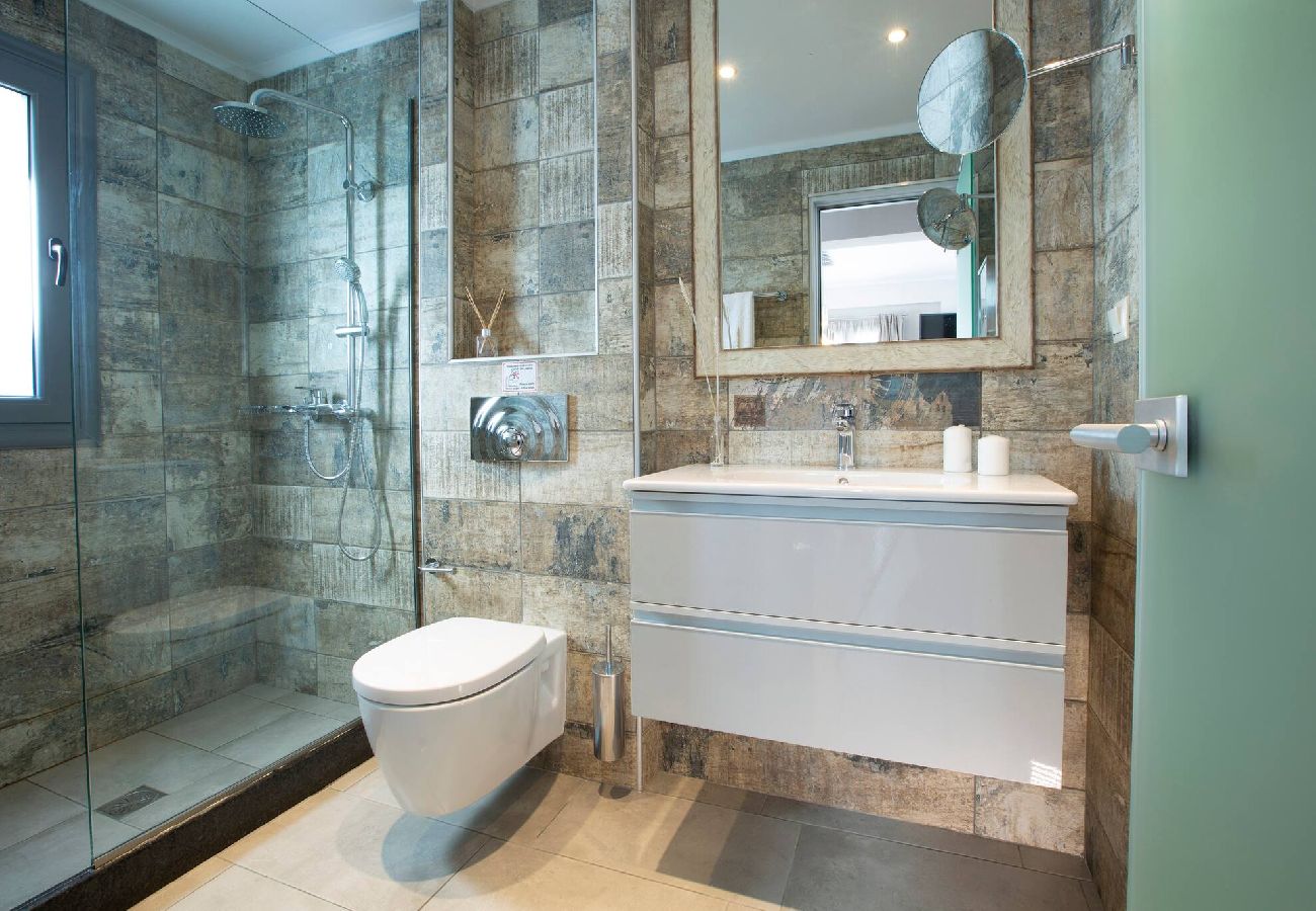 Villa in Vasiliki - ARIA 4 OSTRIA