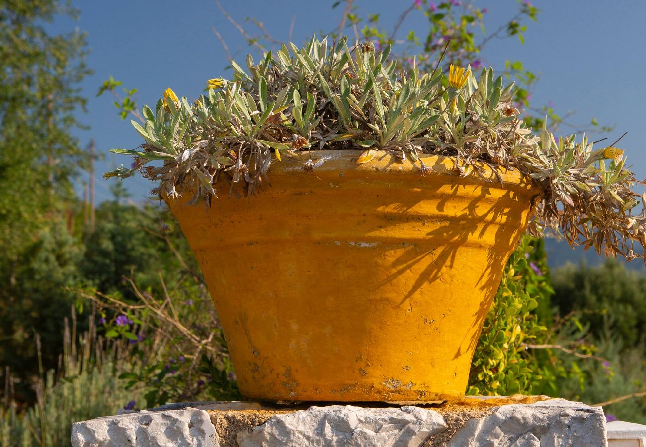 Villa in Vasiliki - ARIA 4 OSTRIA