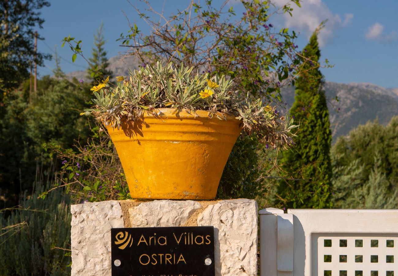 Villa in Vasiliki - ARIA 4 OSTRIA