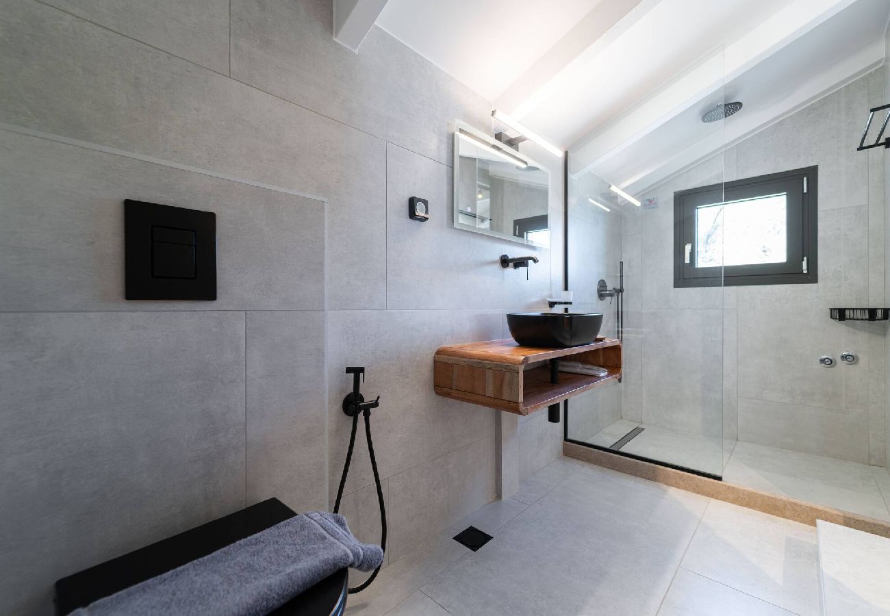 House in Perigiali - SMIRTIES VILLA PHAENA (2BED)