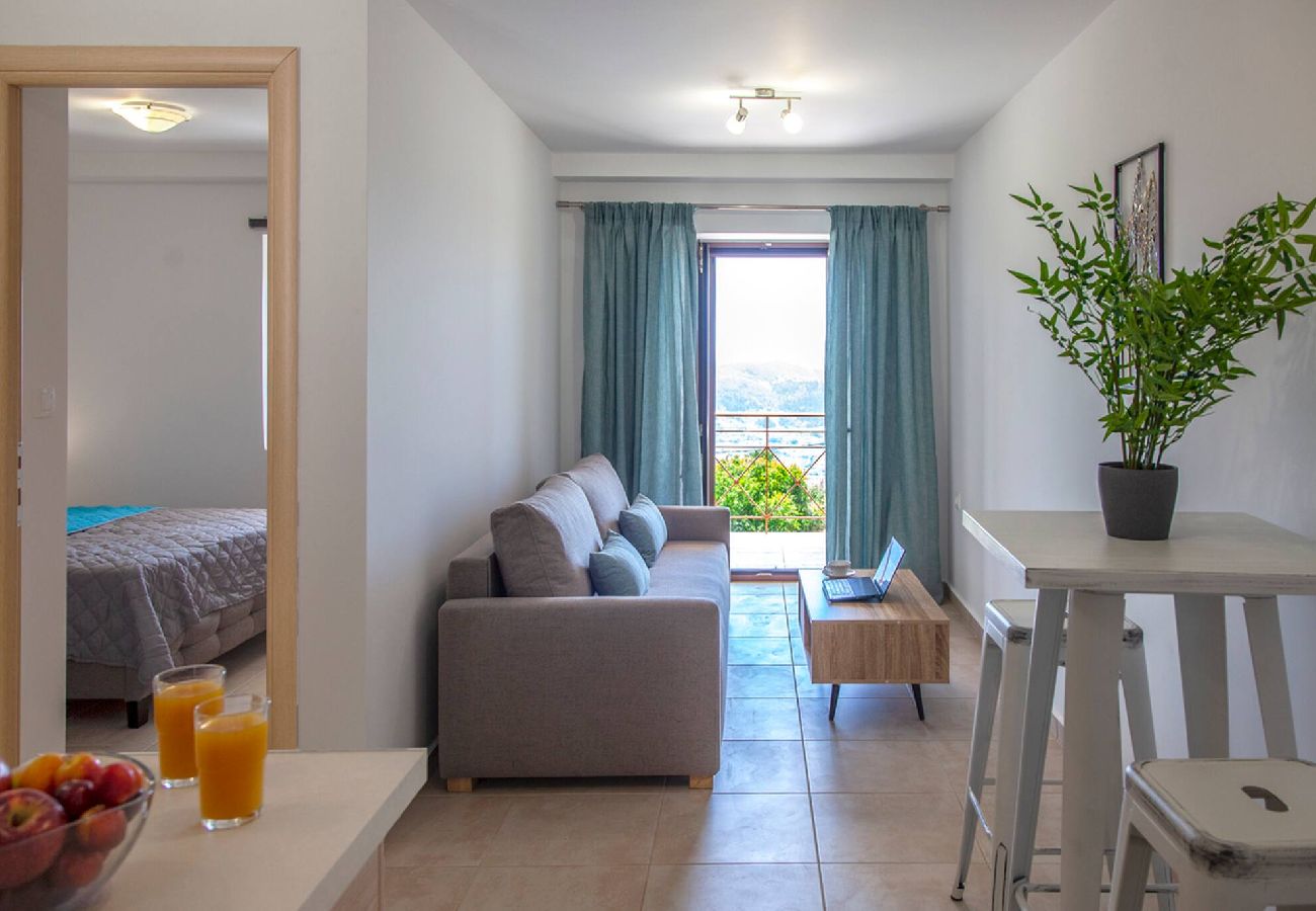 Apartment in Vasiliki - AGIOS PETROS 2