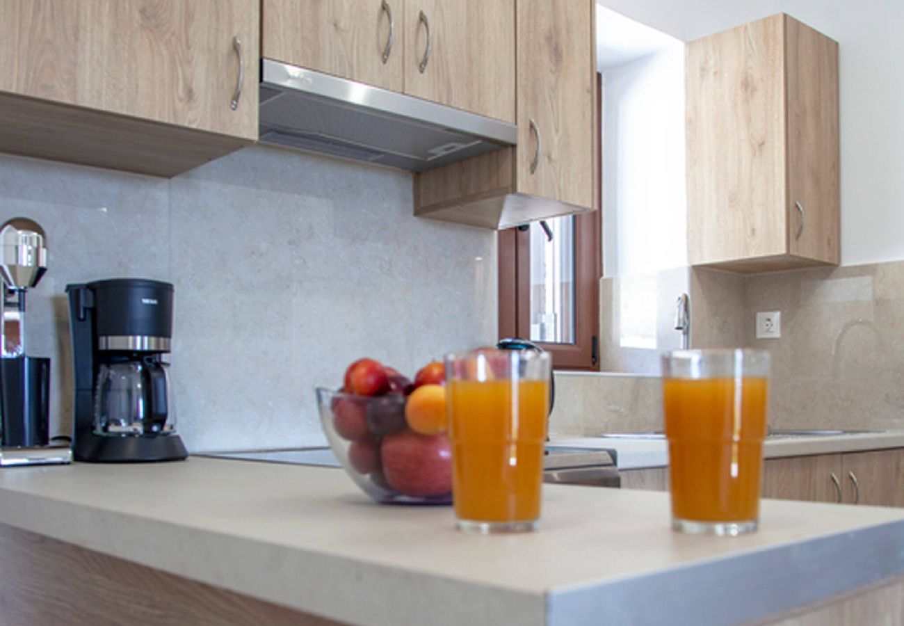 Apartment in Vasiliki - AGIOS PETROS 2