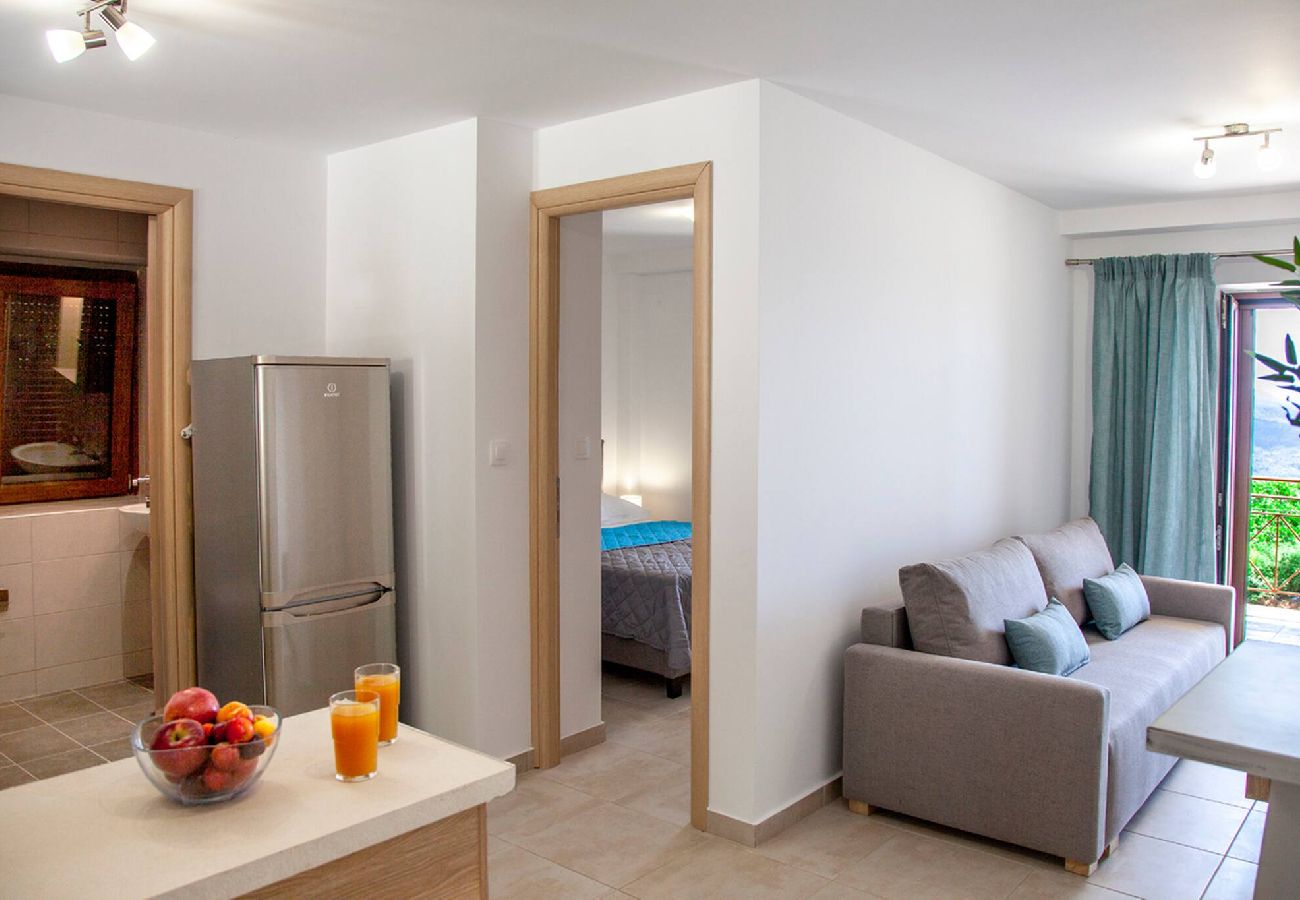 Apartment in Vasiliki - AGIOS PETROS 2