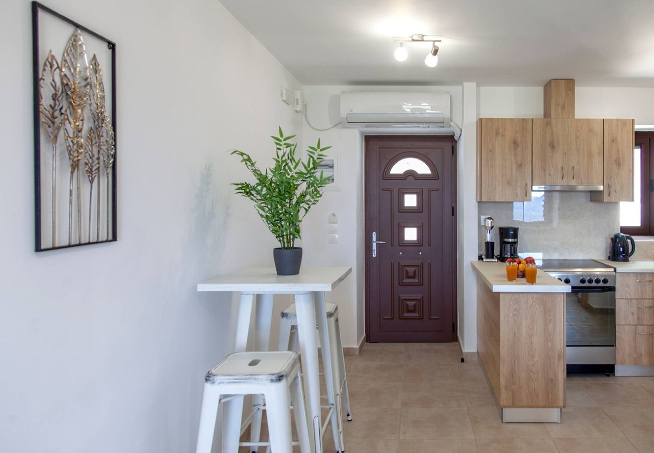 Apartment in Vasiliki - AGIOS PETROS 2