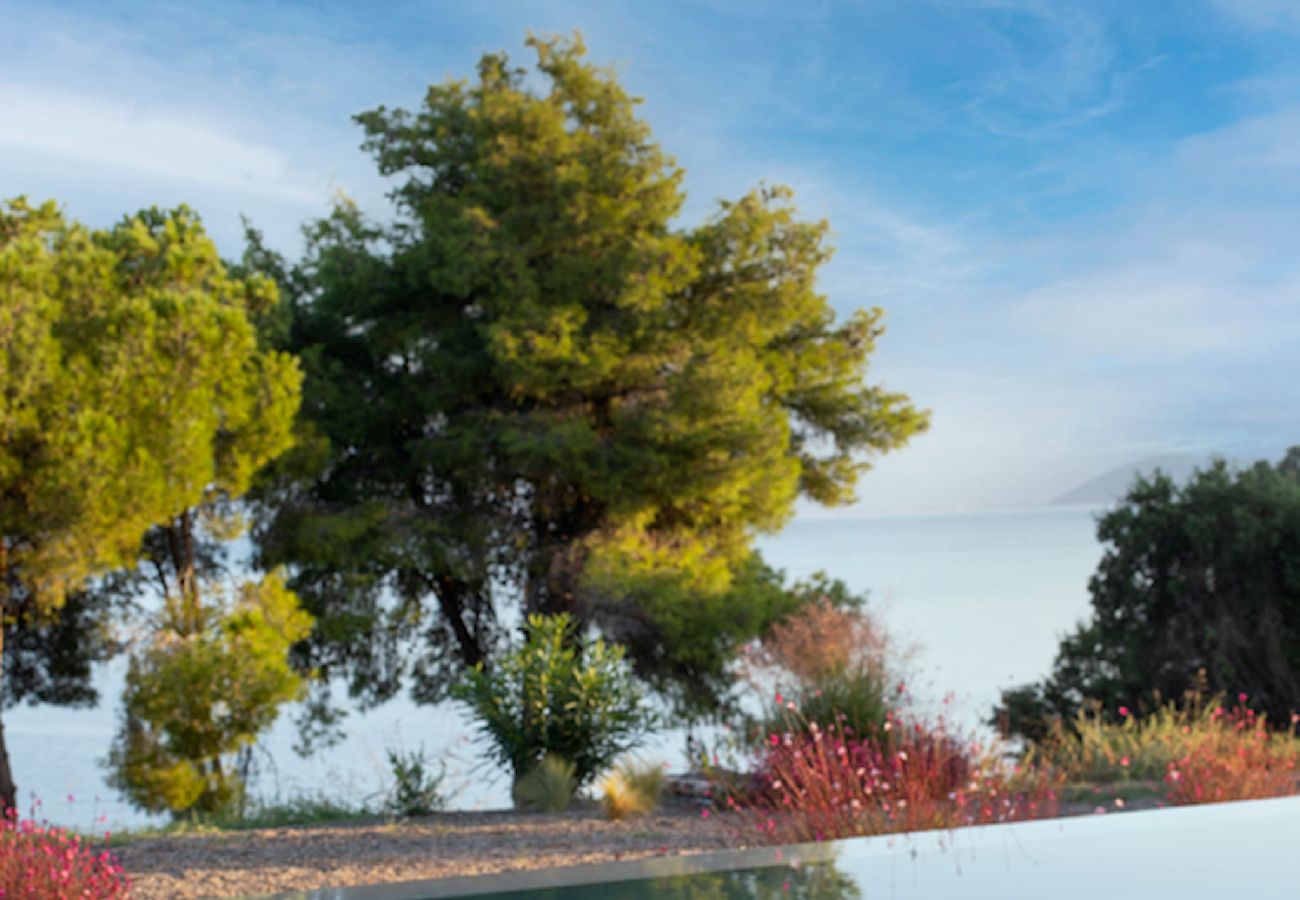 House in Amfilochia - THEROS ALOE (3 BED)