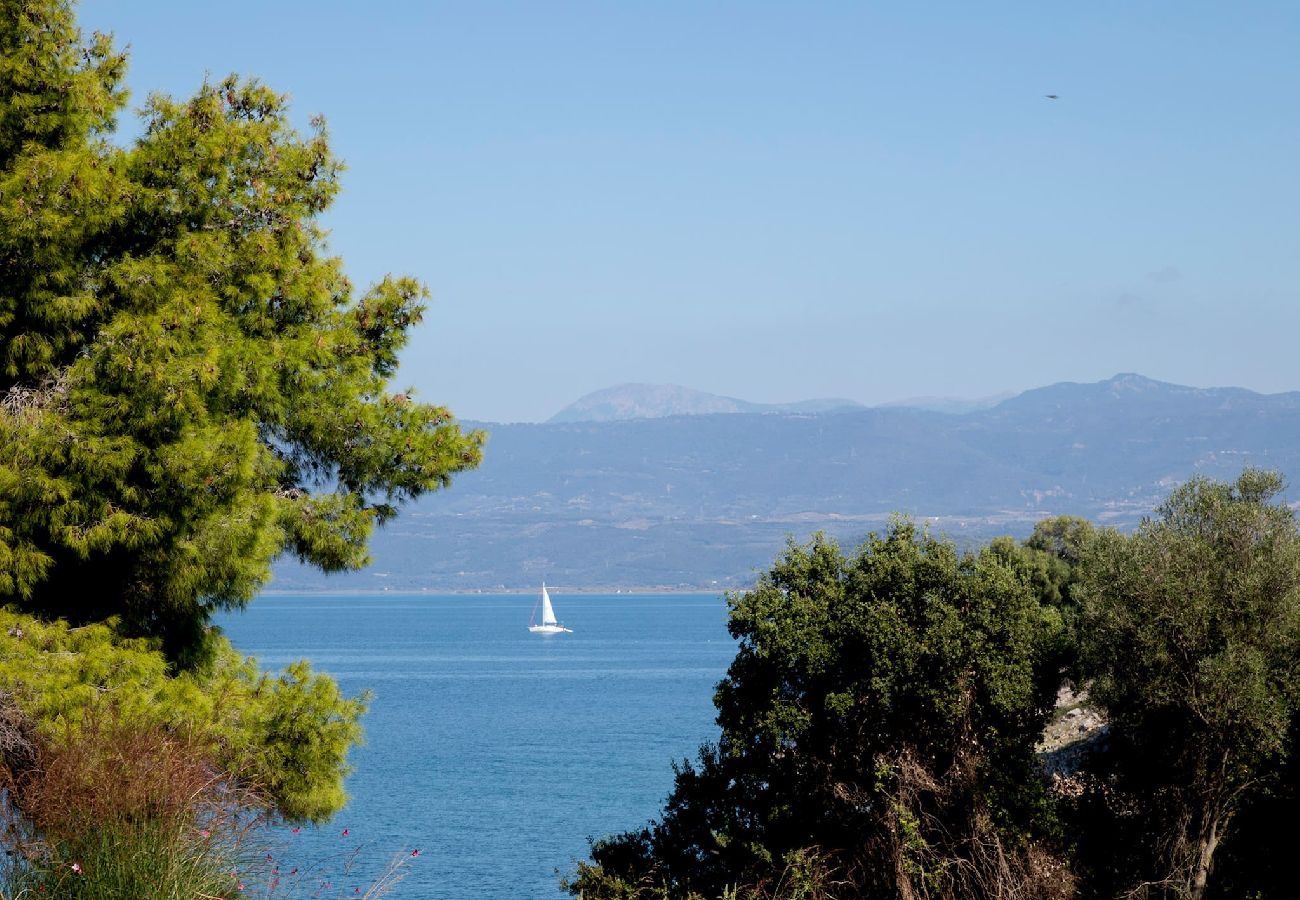 House in Amfilochia - THEROS ALOE (3 BED)