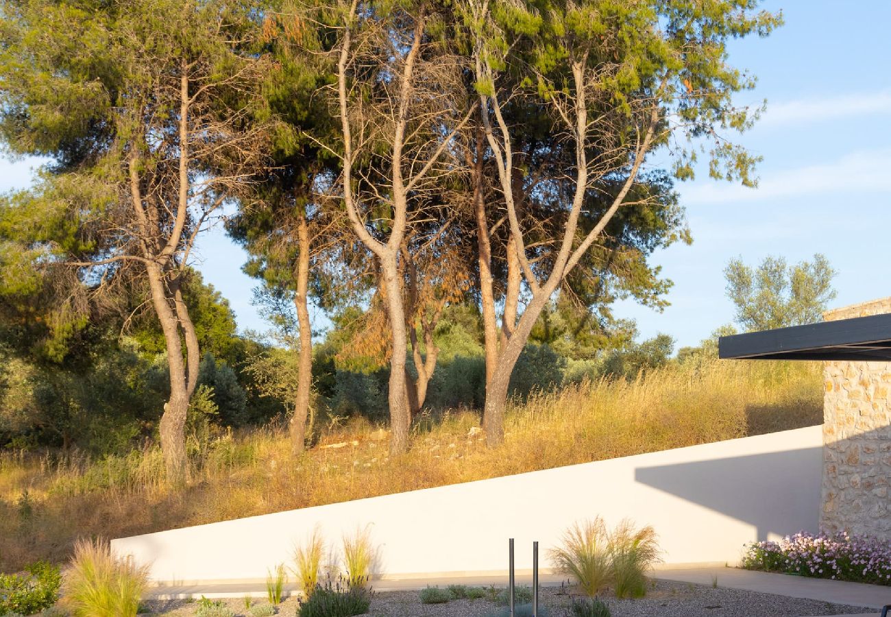 House in Amfilochia - THEROS ALOE (3 BED)